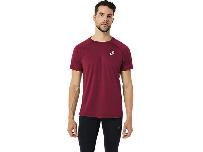 Burgundy / Red Asics Stripe Men's Short Sleeve Tops | IQLG-59703