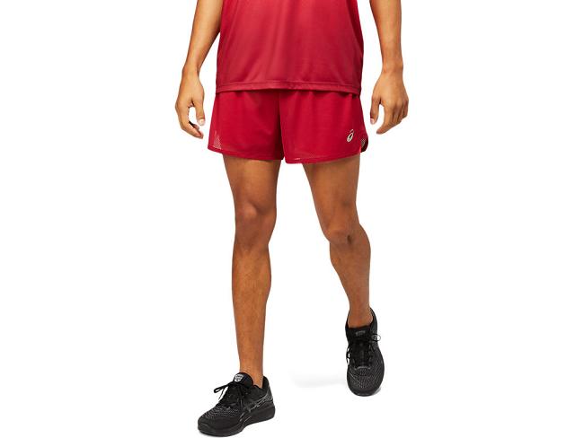 Burgundy / Red Asics Ventilate Men's Shorts | HOJM-92186