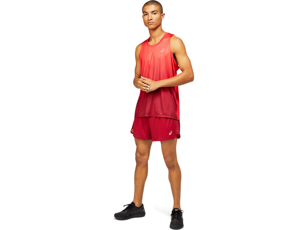 Burgundy / Red Asics Ventilate Men's Shorts | HOJM-92186